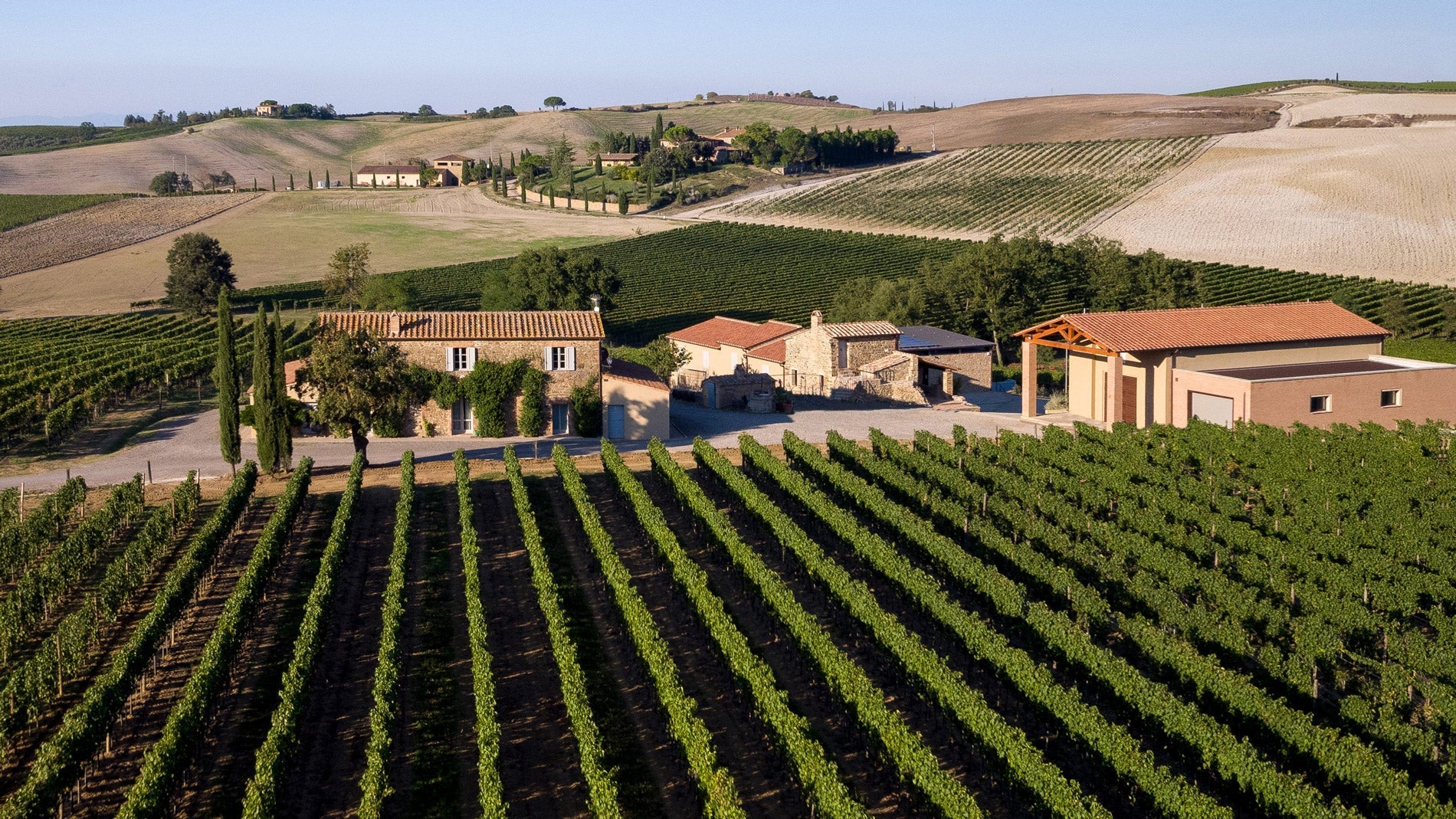 Ridolfi - ny producent fra Brunello di Montalcino