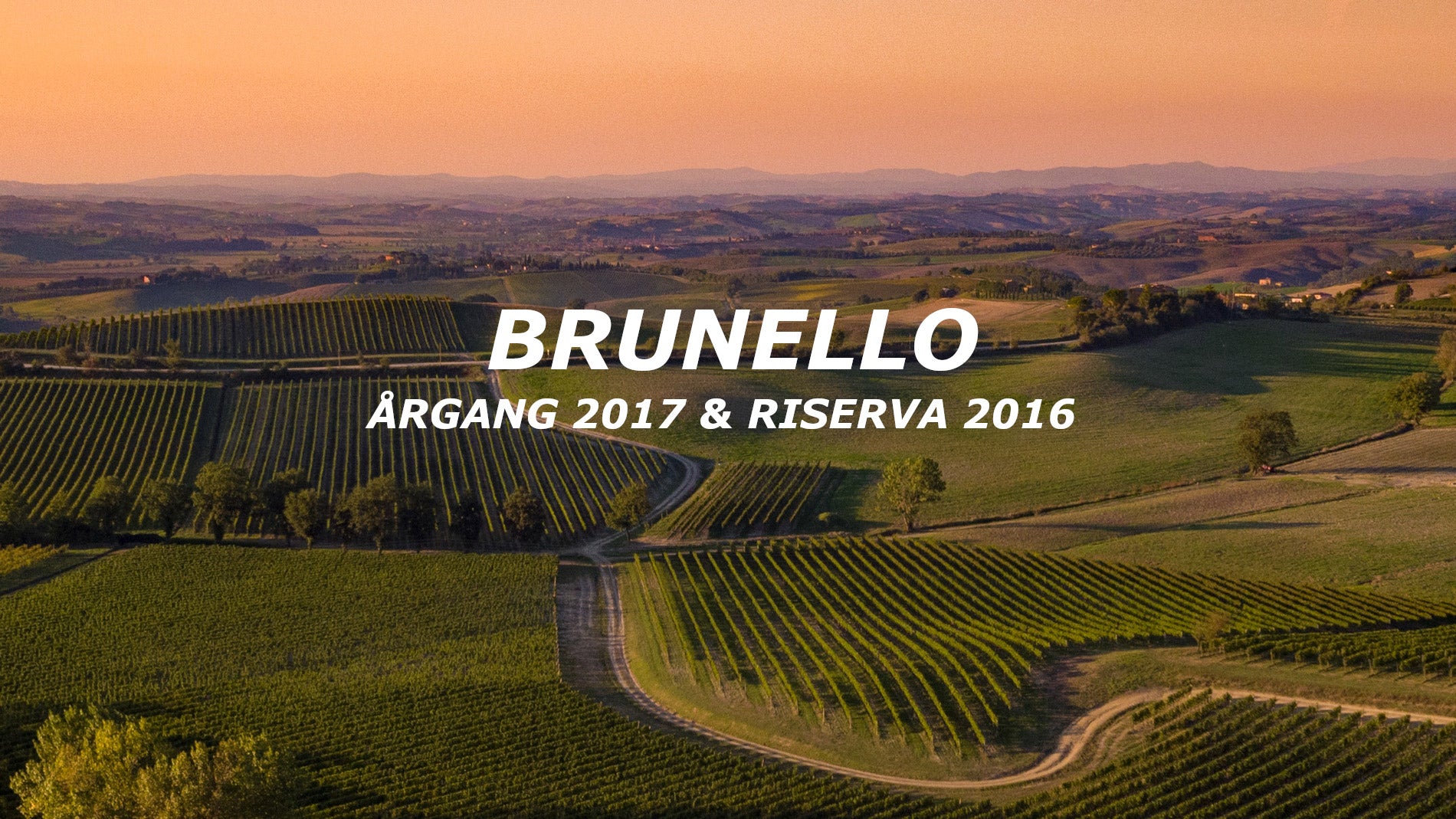 Forudbestil Brunello 2017 & Riserva 2016