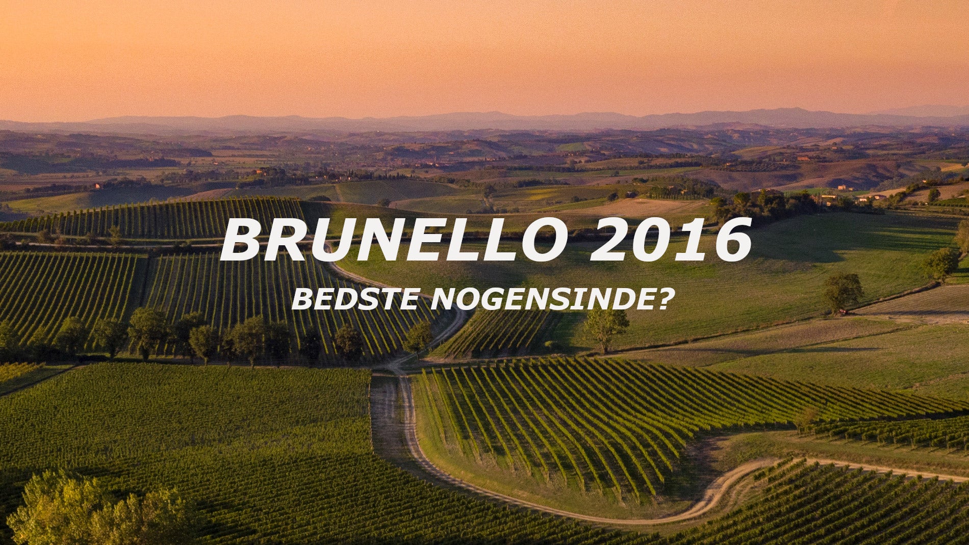 Brunello 2016 - bedste årgang nogensinde?